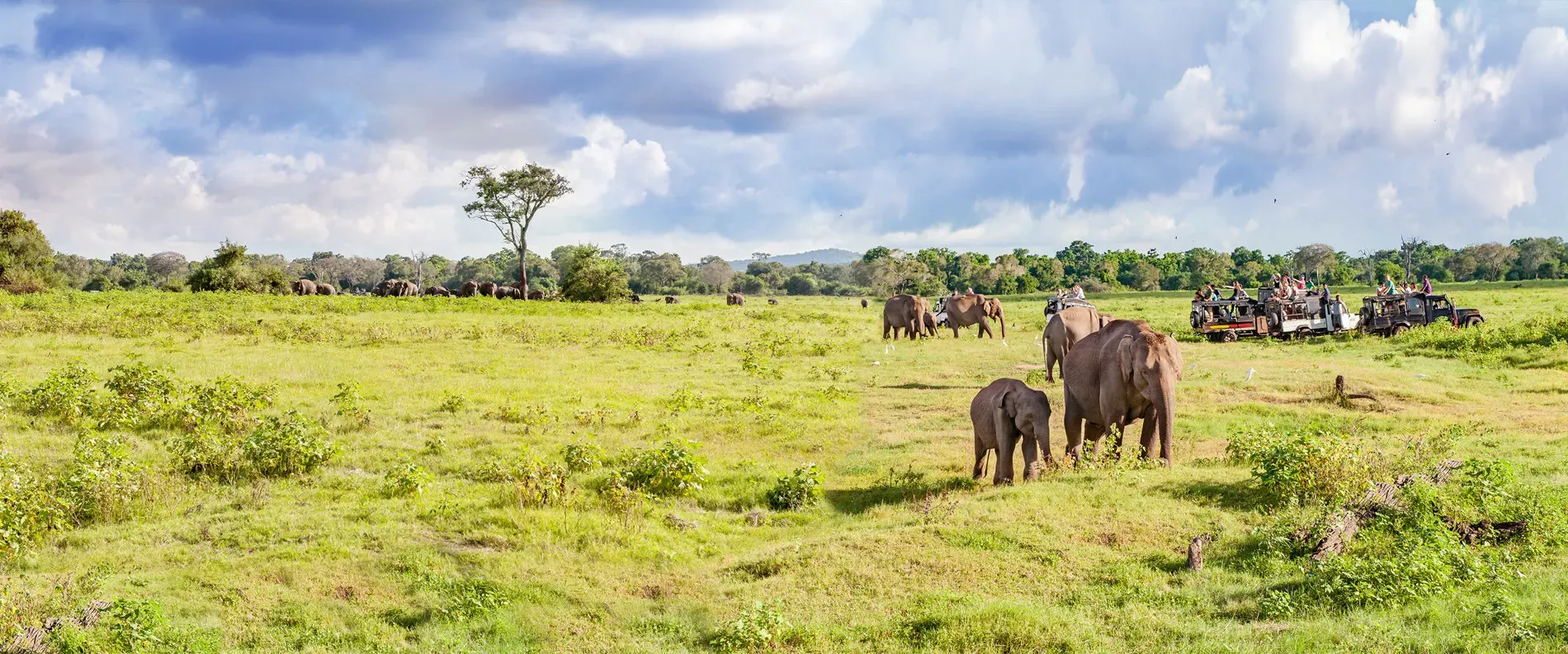 Ilhas Mauricio e África do Sul
