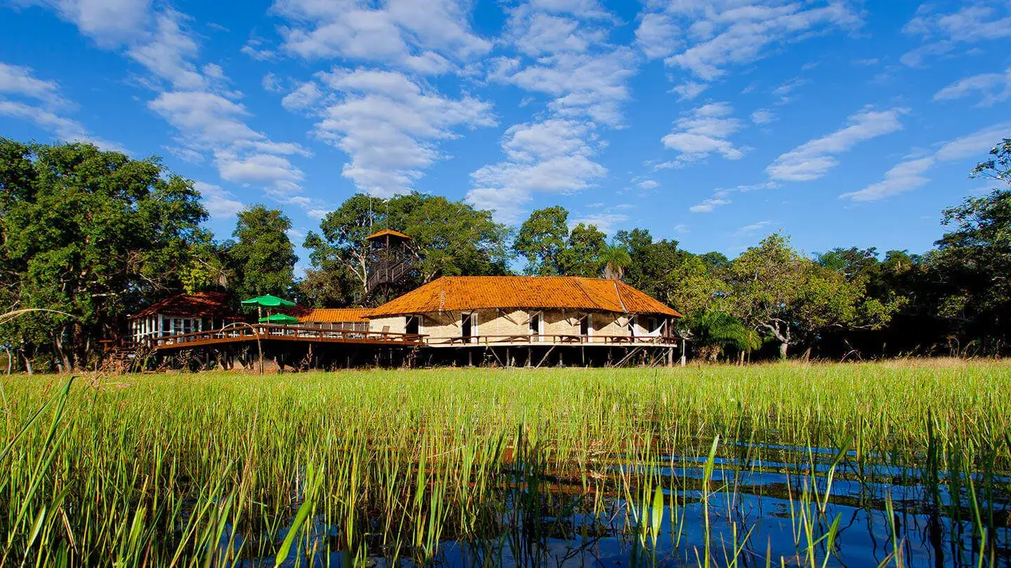 Pacote de viagem Pantanal Sul - Refúgio Ecológico Caiman
