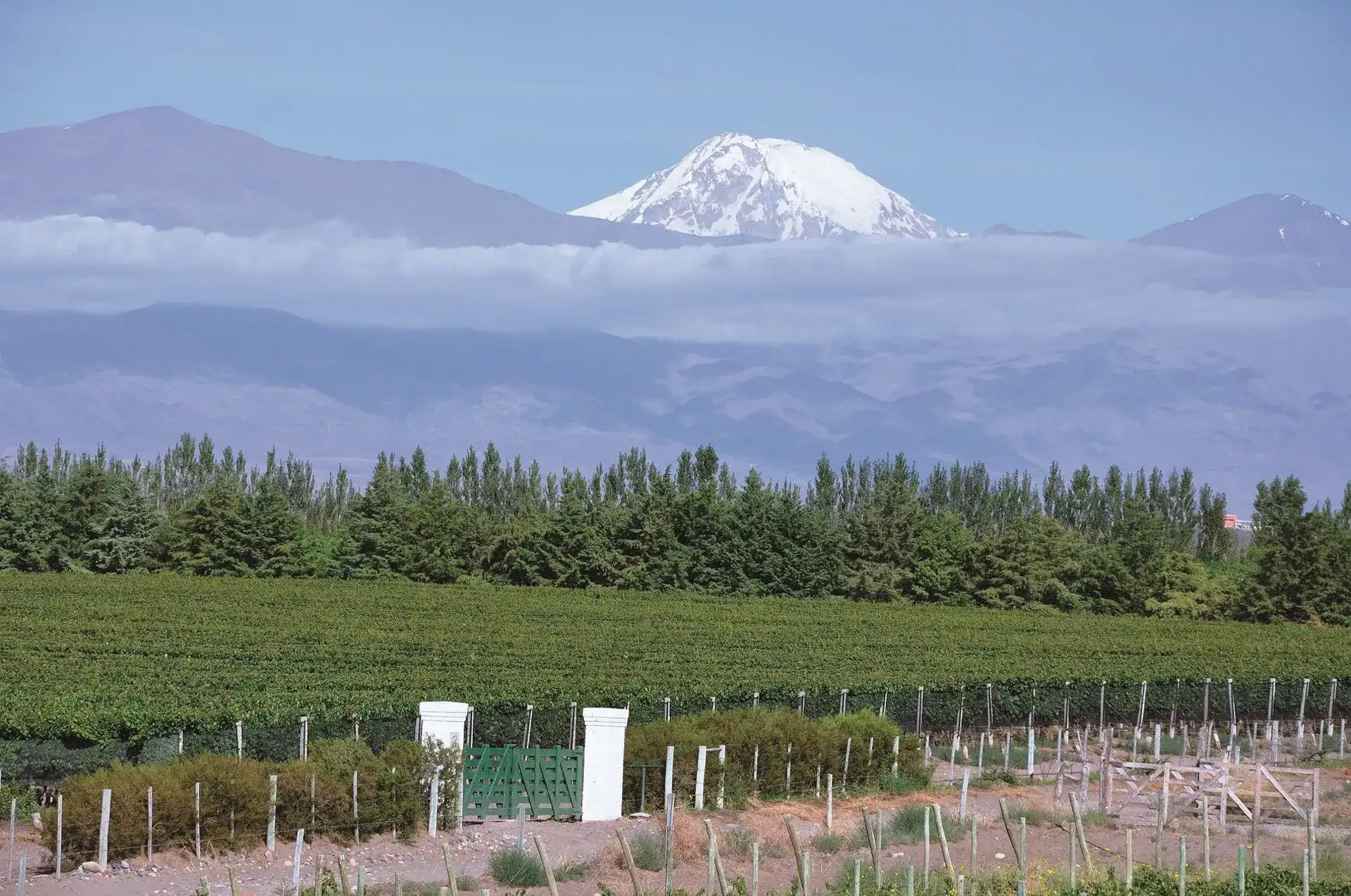 Pacote de viagem Buenos Aires e Mendoza