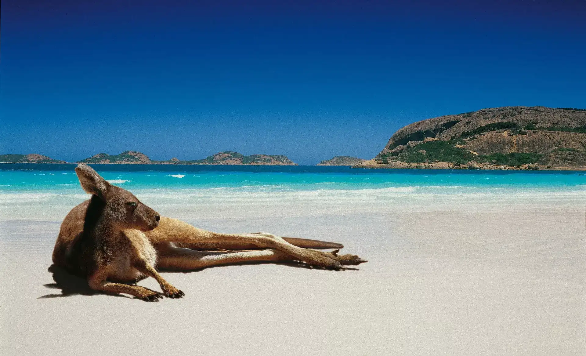 Pacote de viagem Nova Zelândia e Austrália