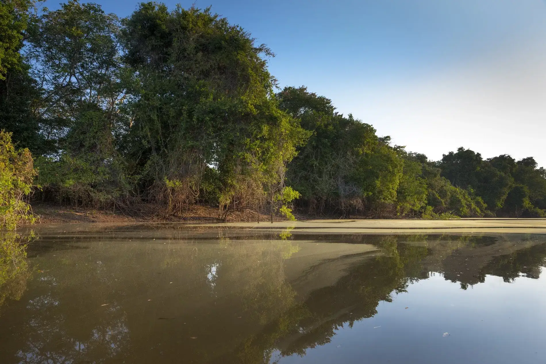 Pantanal em Família
