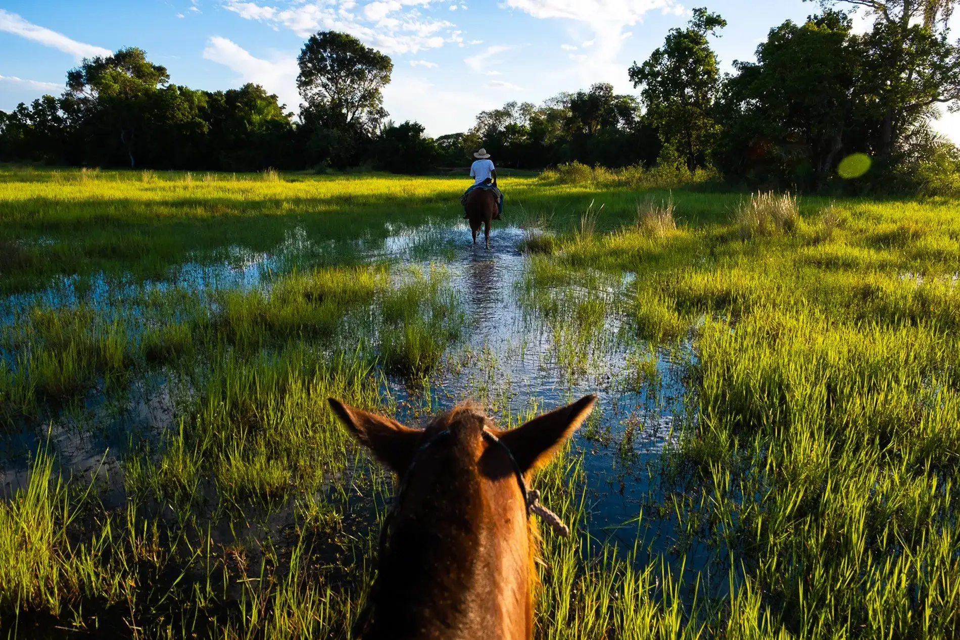 Pantanal em Família