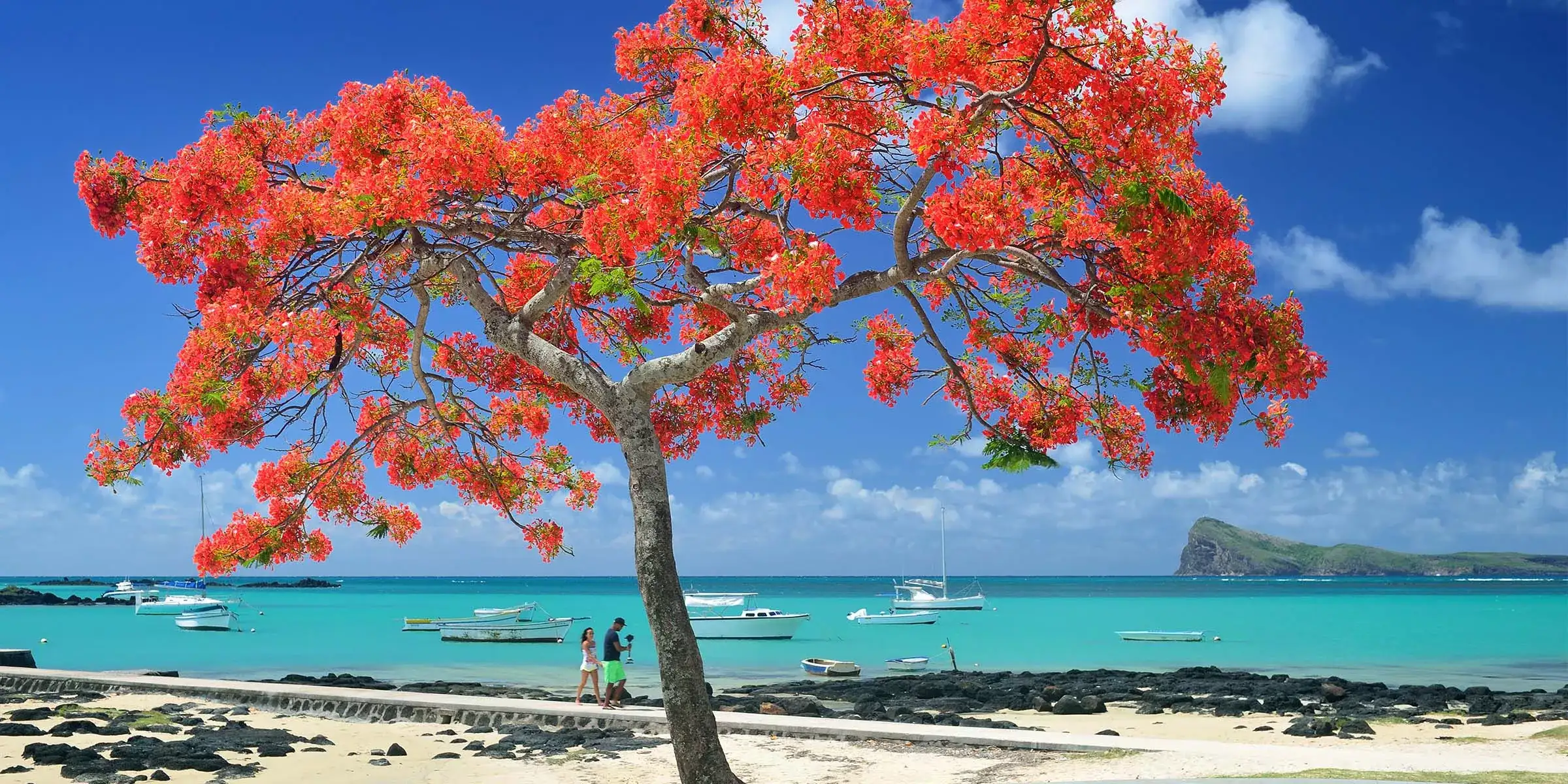 Pacote de viagem Ilhas Mauricio e África do Sul