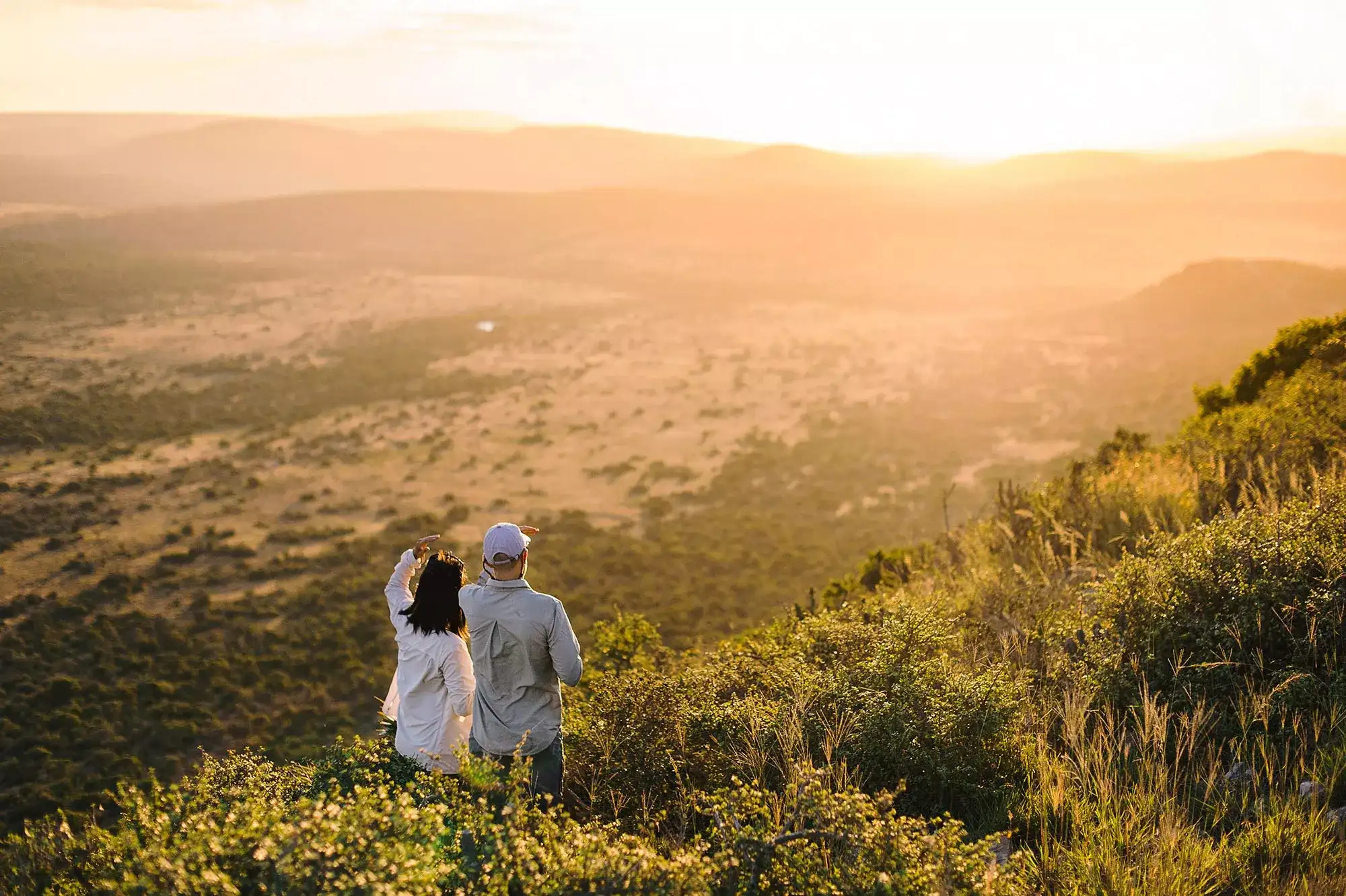 Pacote de viagem Vinícolas, Baleias e Vida Selvagem - Luxury