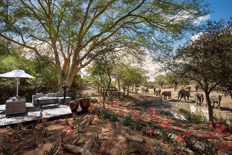 Pacote de viagem Grande Safari Luxury na África do Sul