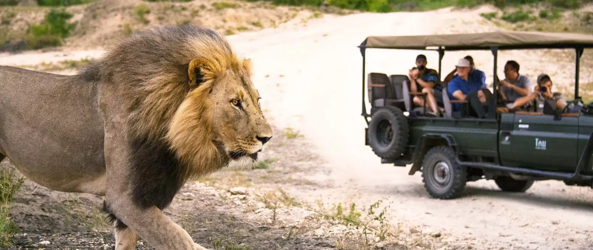 Pacote de viagem Cape Town & Safári na Reserva Privativa de Madikwe