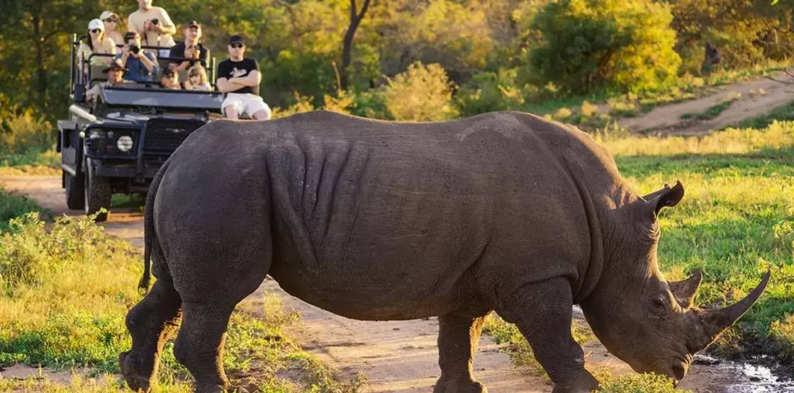 Pacote de viagem Conhecendo a África do Sul