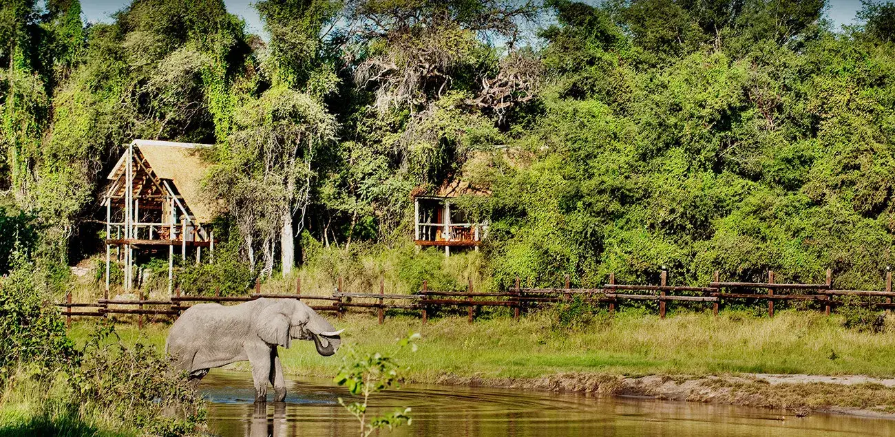 Pacote de viagem Botswana & África do Sul