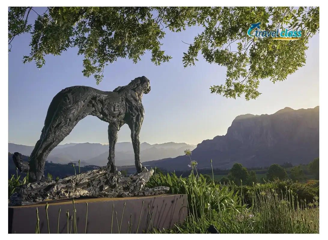Pacote de viagem Art of Africa