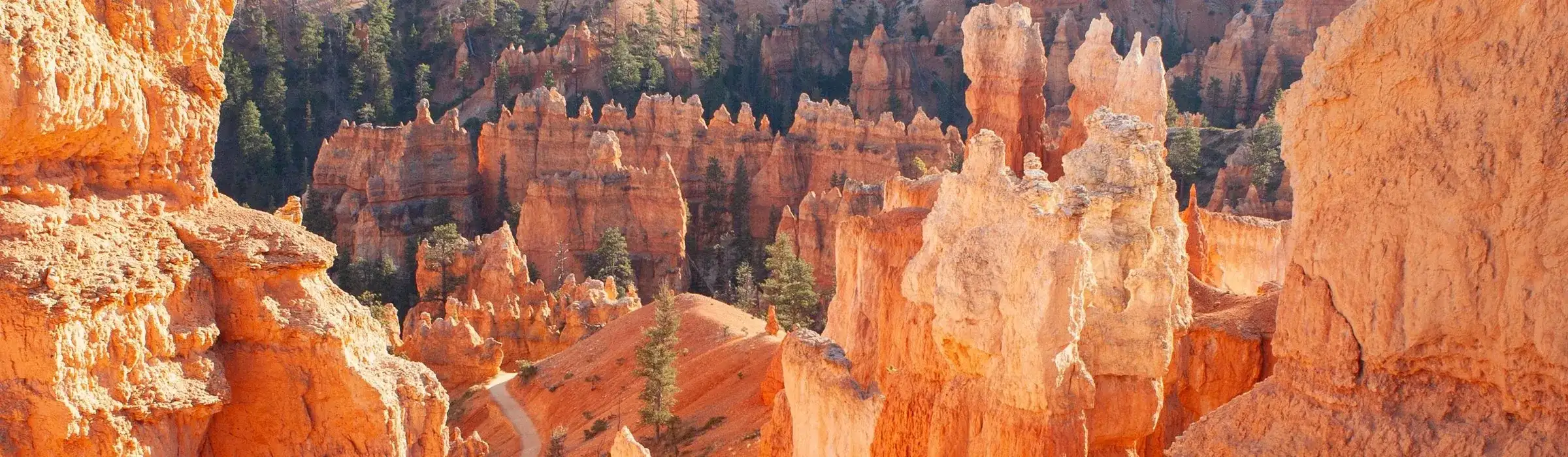 Pacote de viagem Western Wonders
