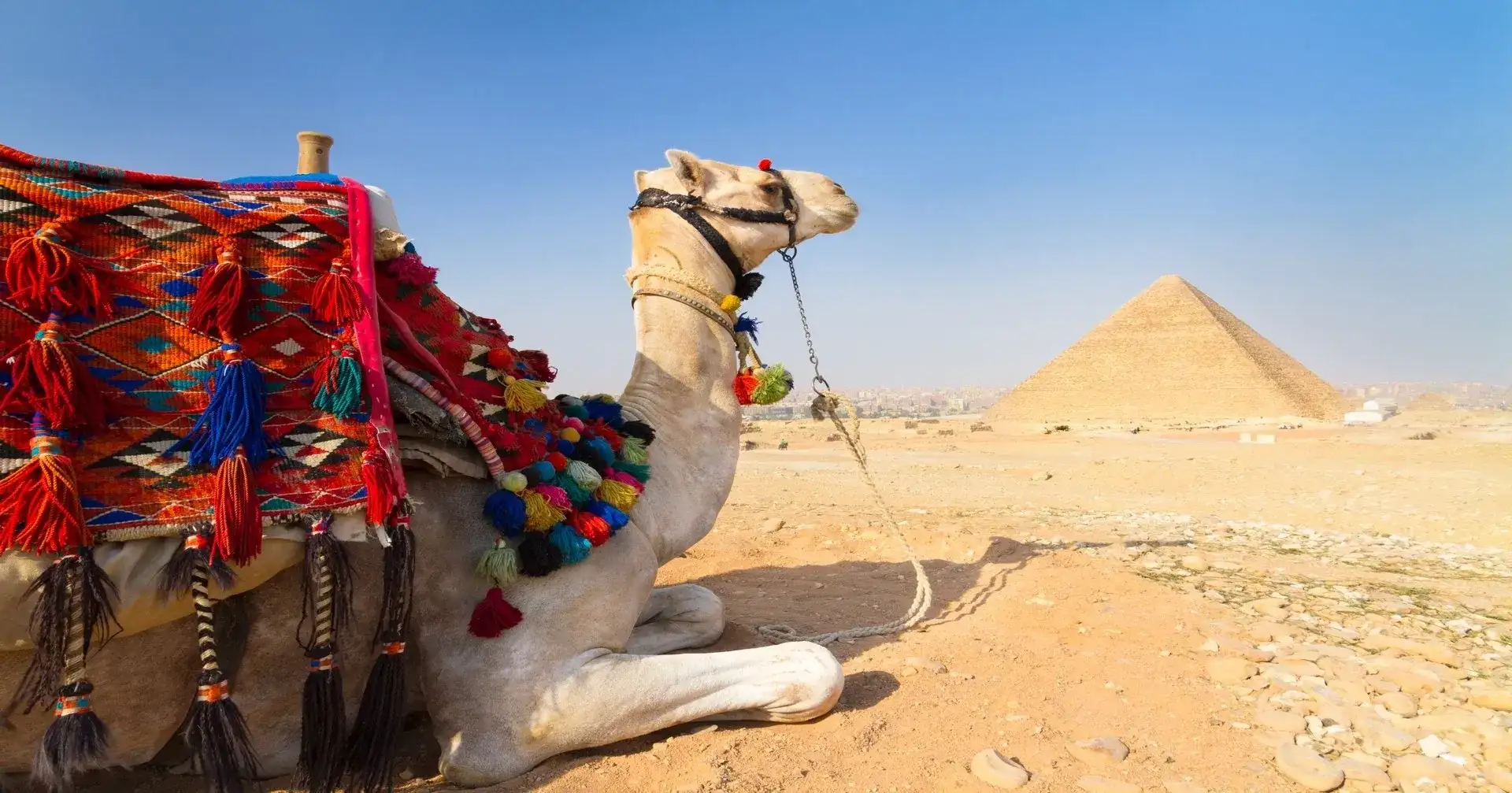 Pacote de viagem Egito Clássico ISIS