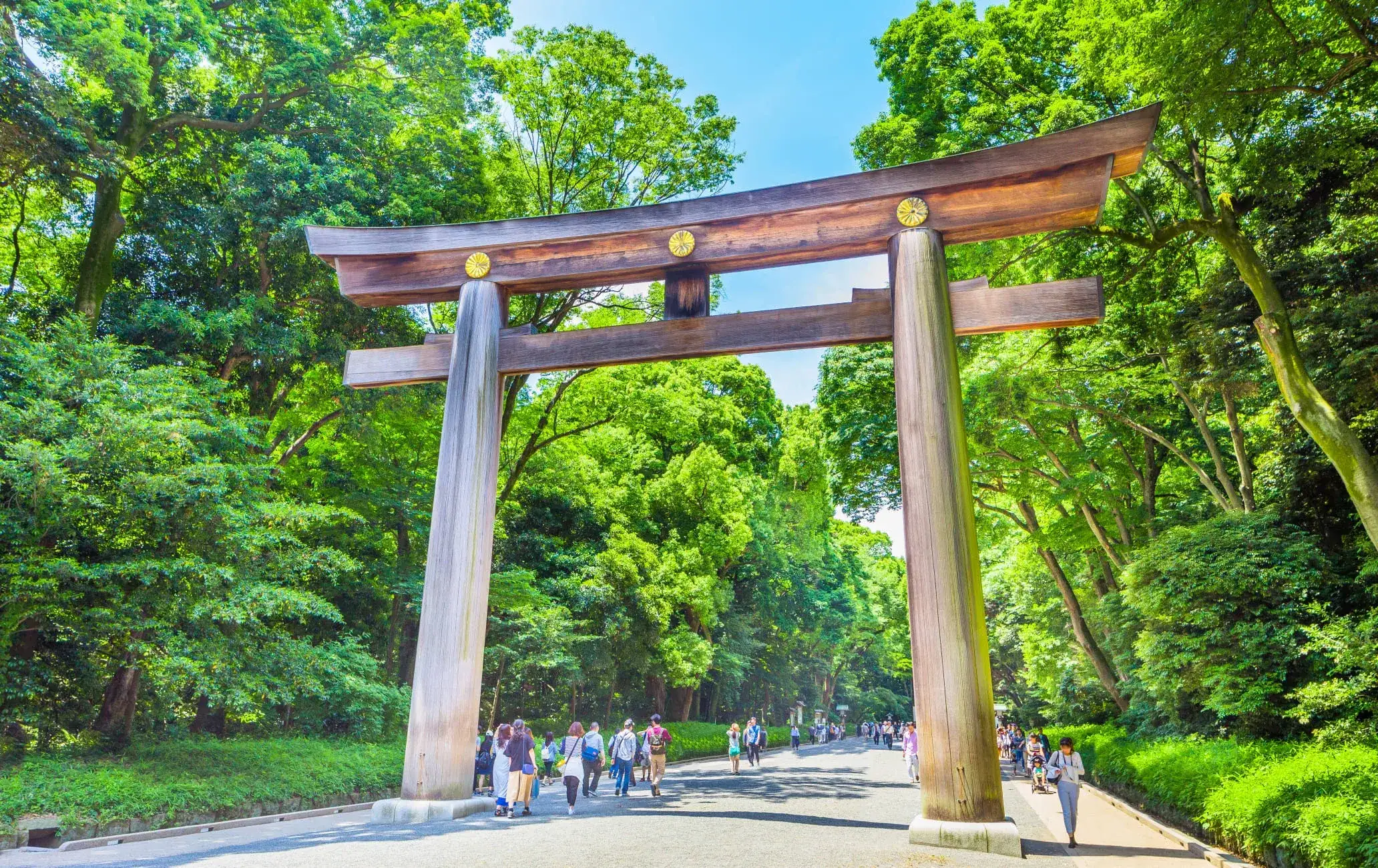 Pacote de viagem As Jóias Escondidas do Japão