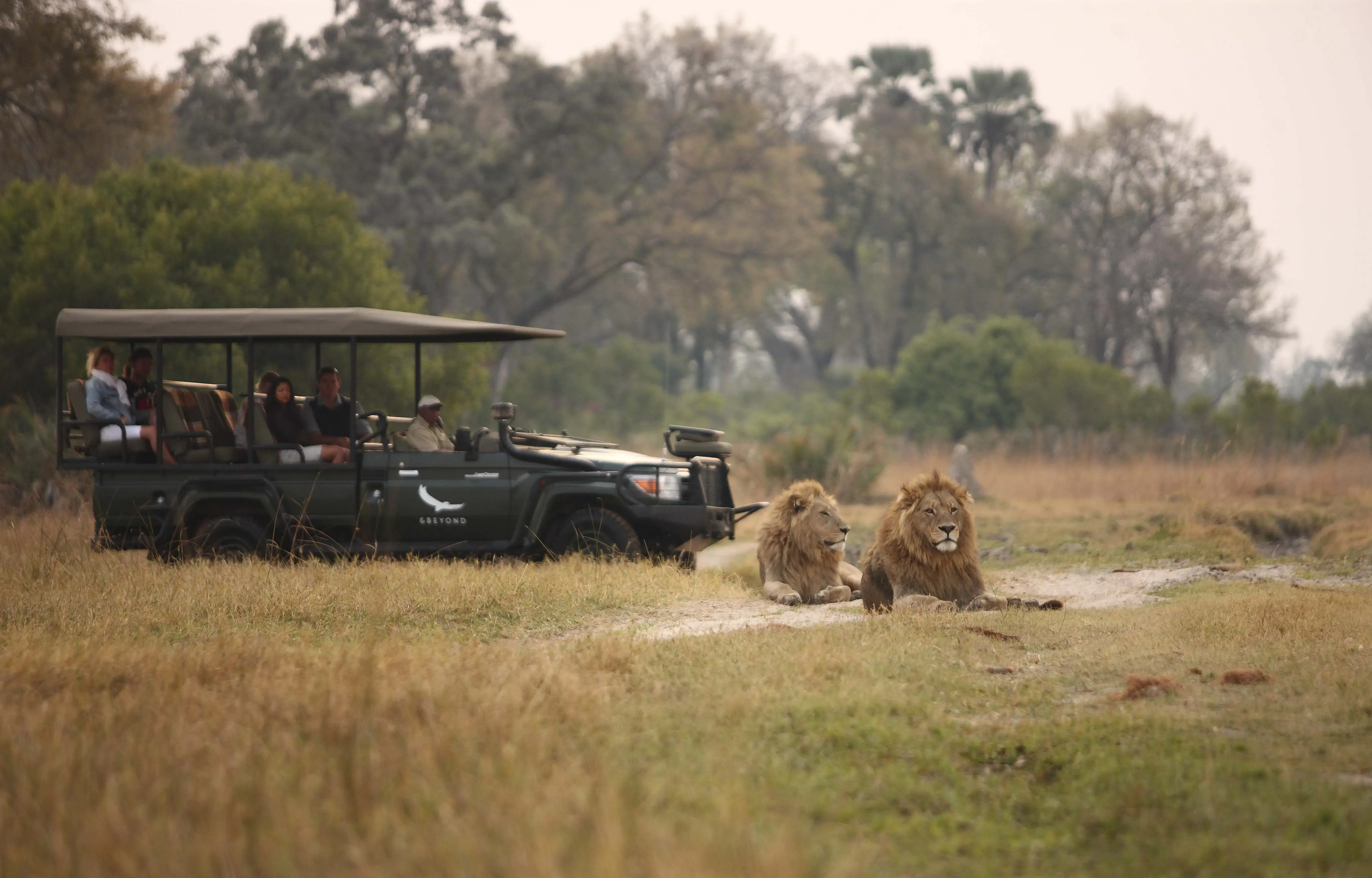 Pacote de viagem África Austral Deluxe