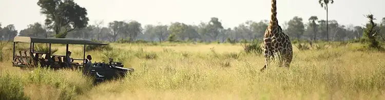 Pessoa em camelo no deserto