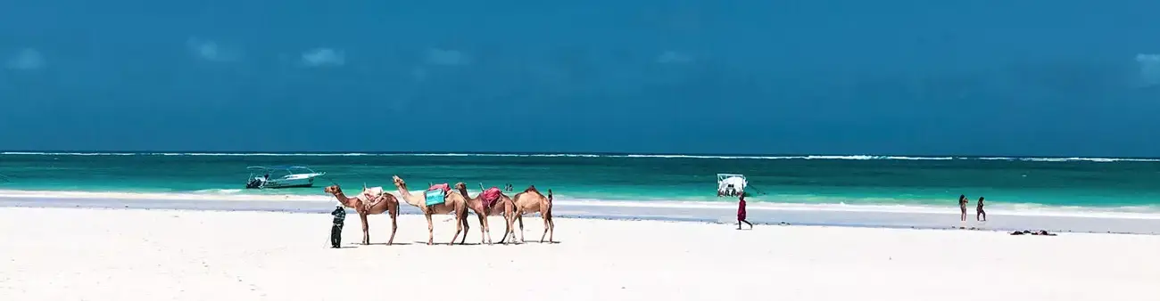 Pessoa em camelo no deserto