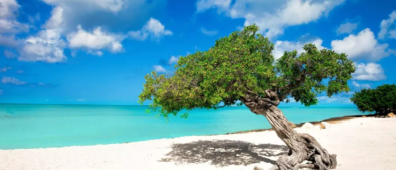 Aruba