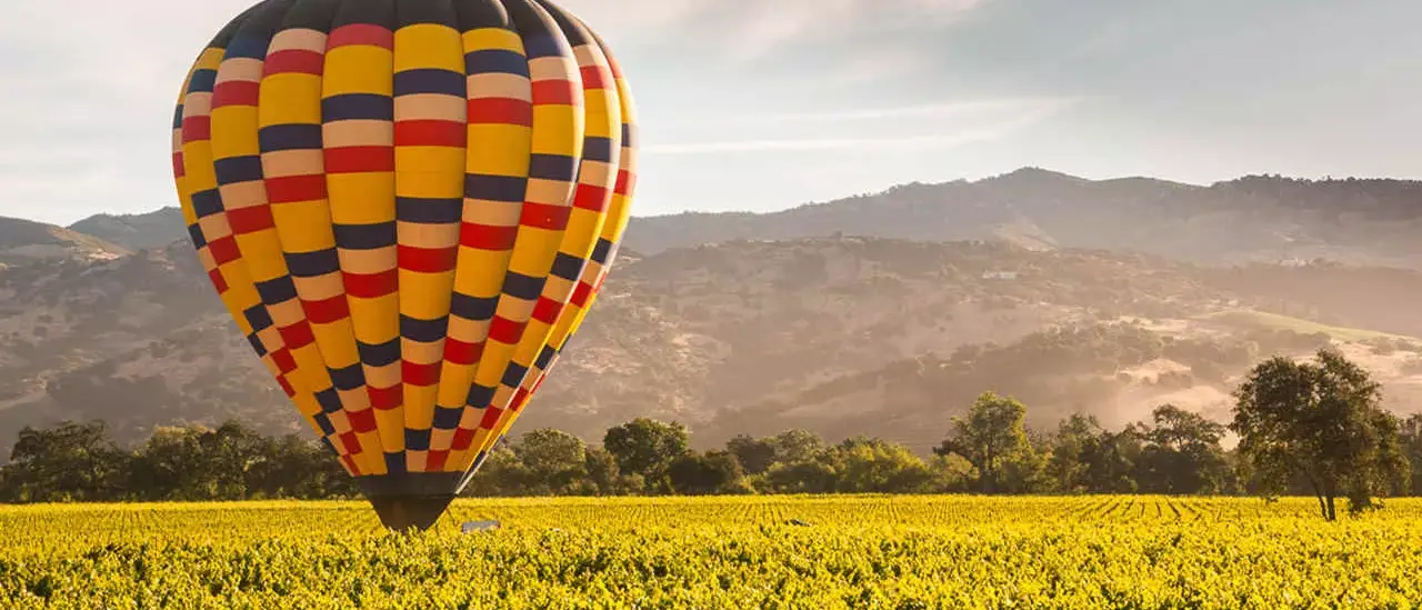 California na Rota dos vinhos