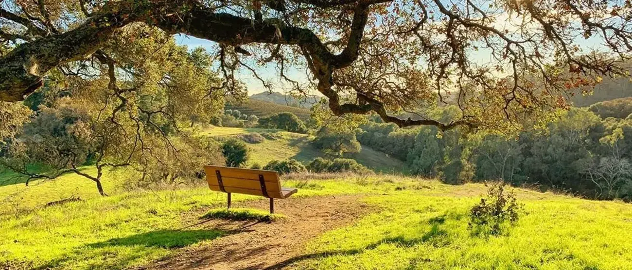 California na Rota dos vinhos