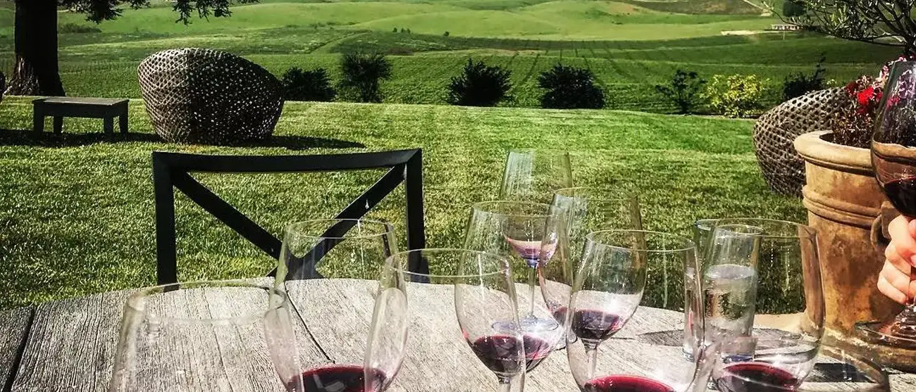 California na Rota dos vinhos