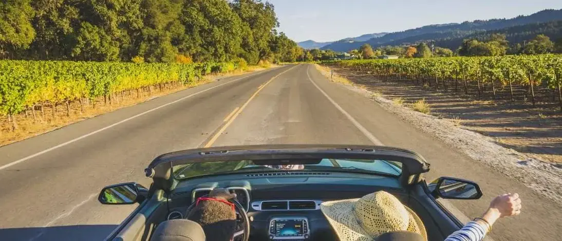 California na Rota dos vinhos