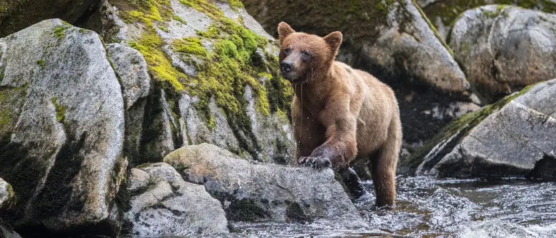 Seabourn Sojourn: Fiordes do Alasca e Canadá