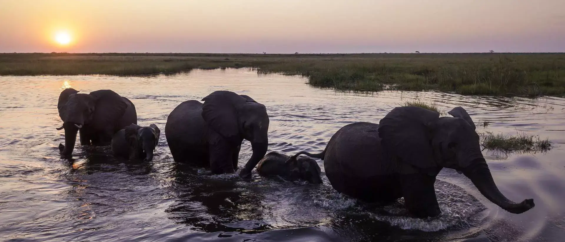 Botswana By Wilderness Safaris