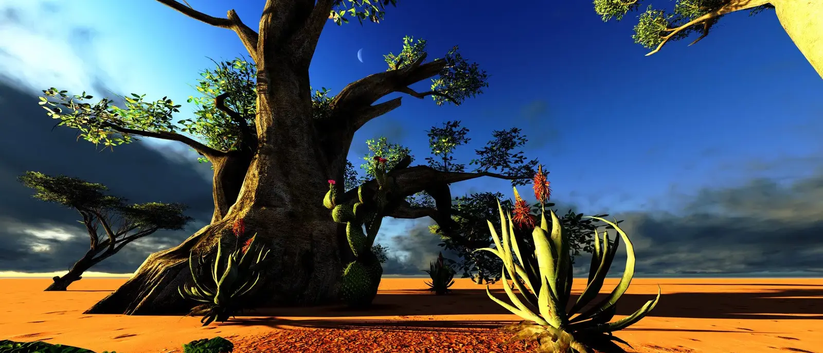 Madagascar
