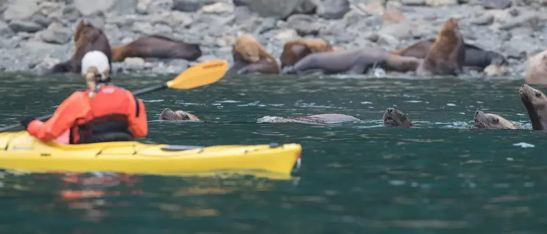 Seabourn Sojourn: Fiordes do Alasca e Canadá