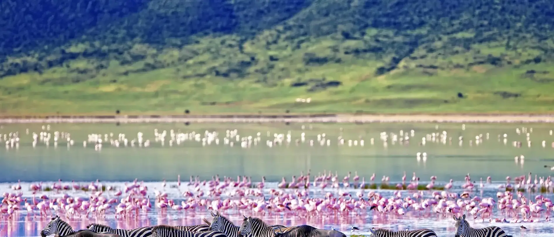 Quênia com Tanzânia e Zanzibar