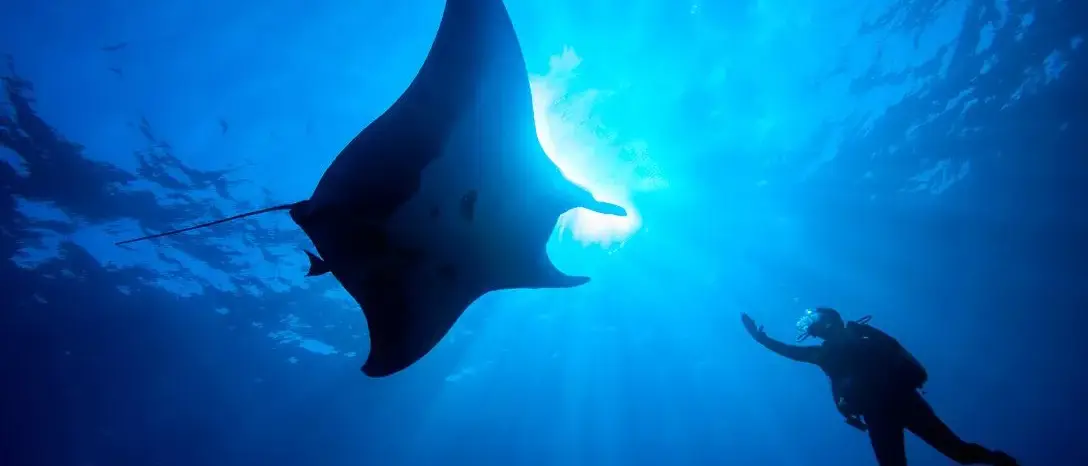 Dusit Thani Maldives