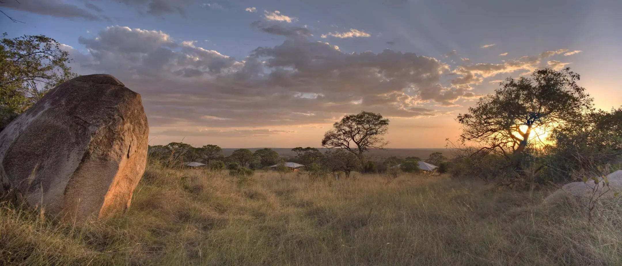 Serengeti Bushtops