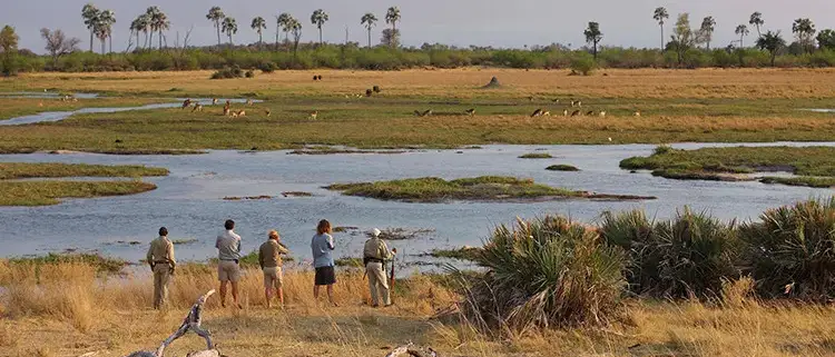 Viagem dos Sonhos África Austral