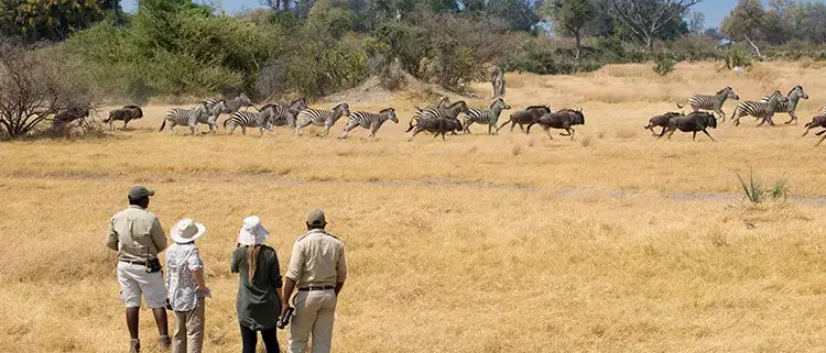 Viagem dos Sonhos África Austral
