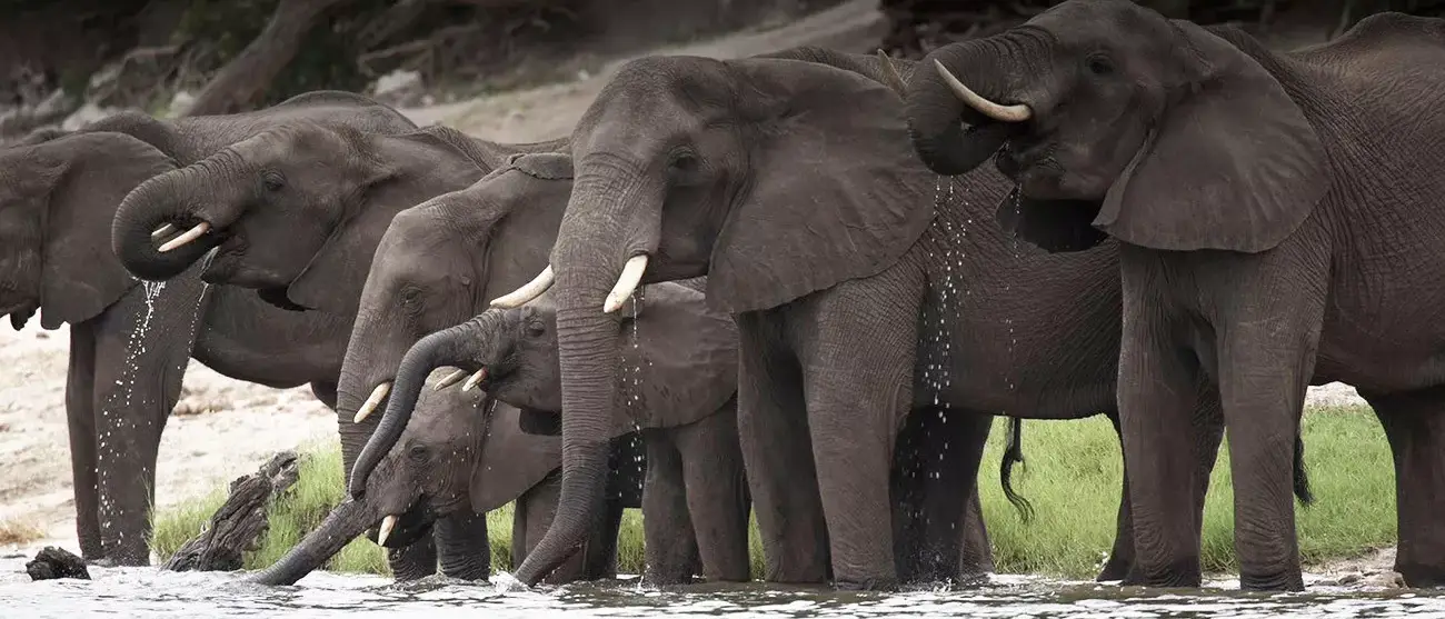 Riquezas de Botswana