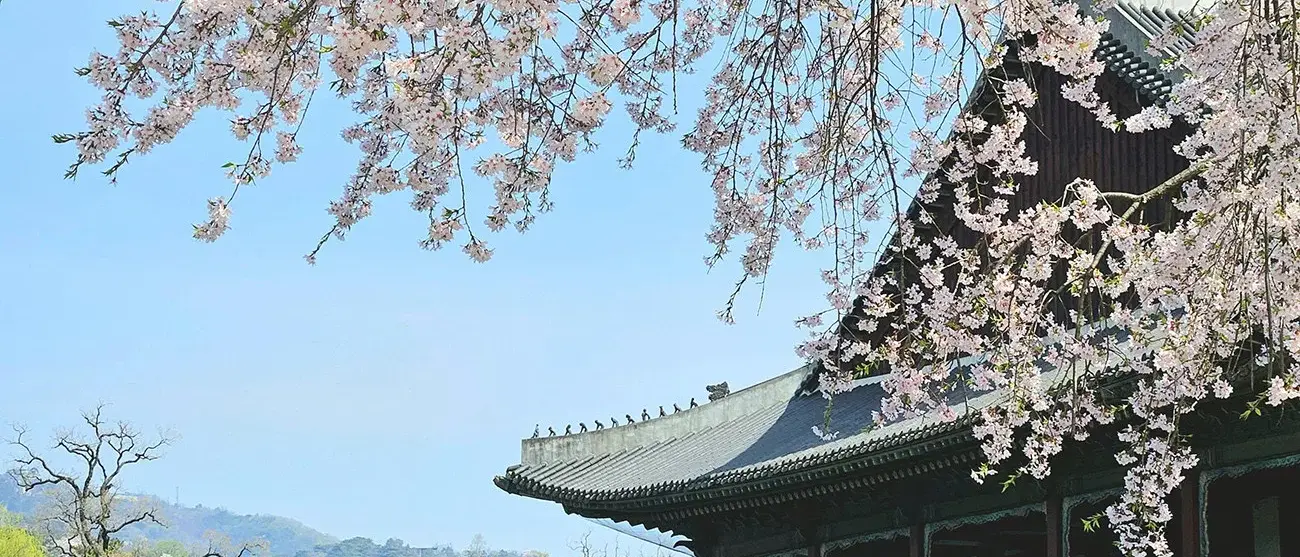 Cores da Coreia
