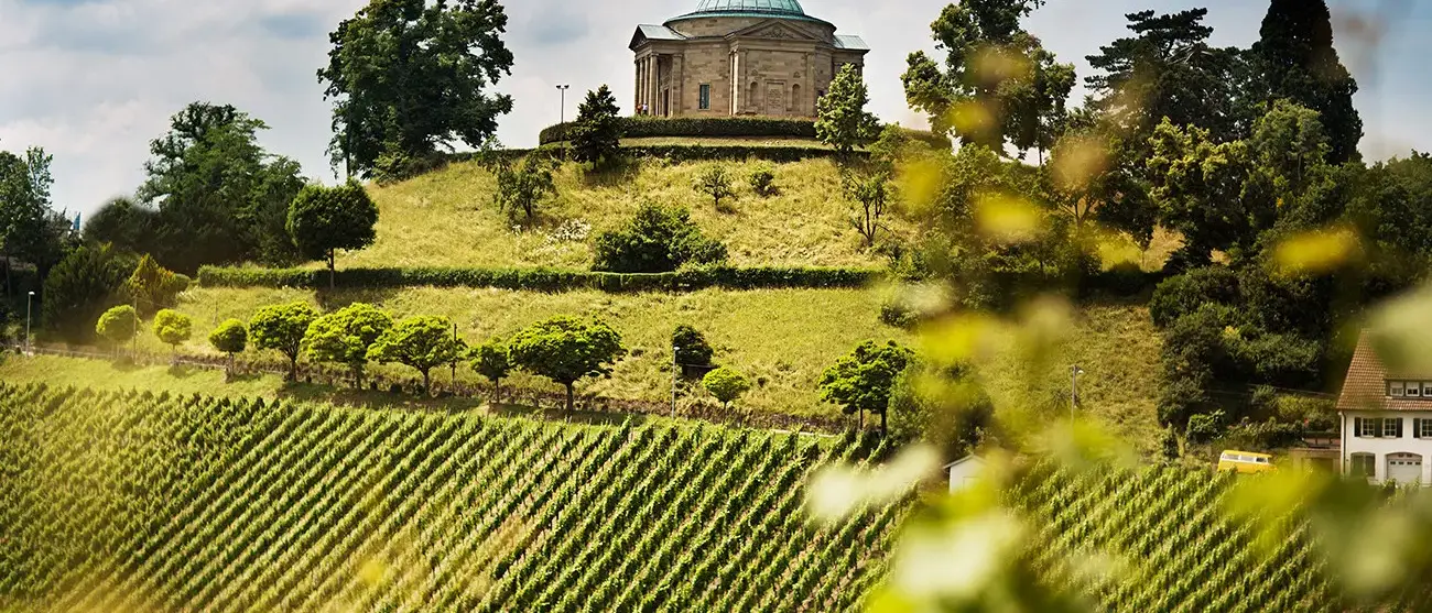 Deutsches Weininstitut GmbH (DWI)/Deutsches Weininstitut GmbH (DWI)
