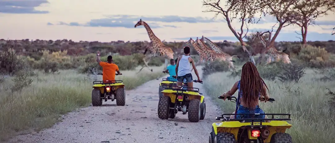 Cape Town & Safári na Reserva Privativa de Madikwe