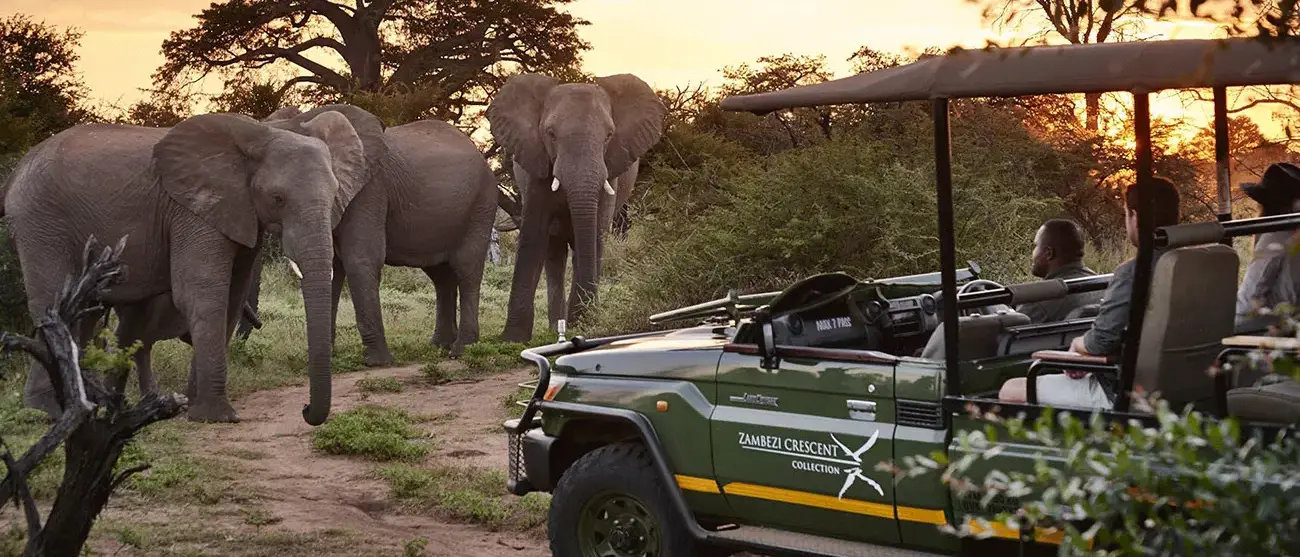 Aventura Wild Child na África Austral