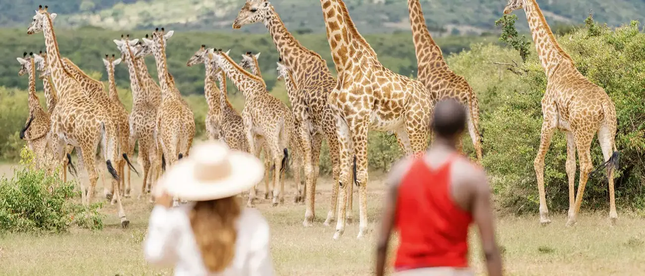 Safari Luxury no Mara Bushtops