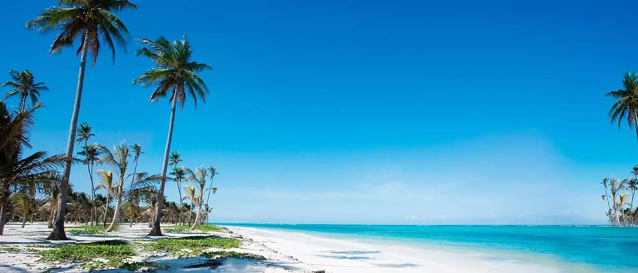 Zanzibar por Completo entre Resorts e Retiro