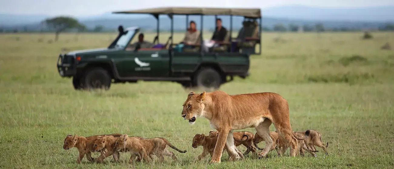 Tesouros da Tanzânia com Safári de Luxo