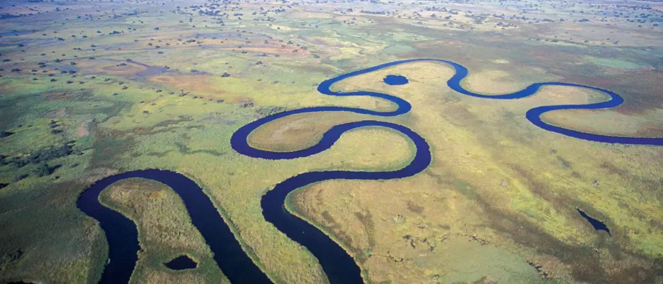 Sweet Taste of Botswana