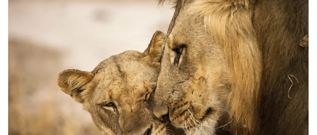 Eat, Love, Stay
