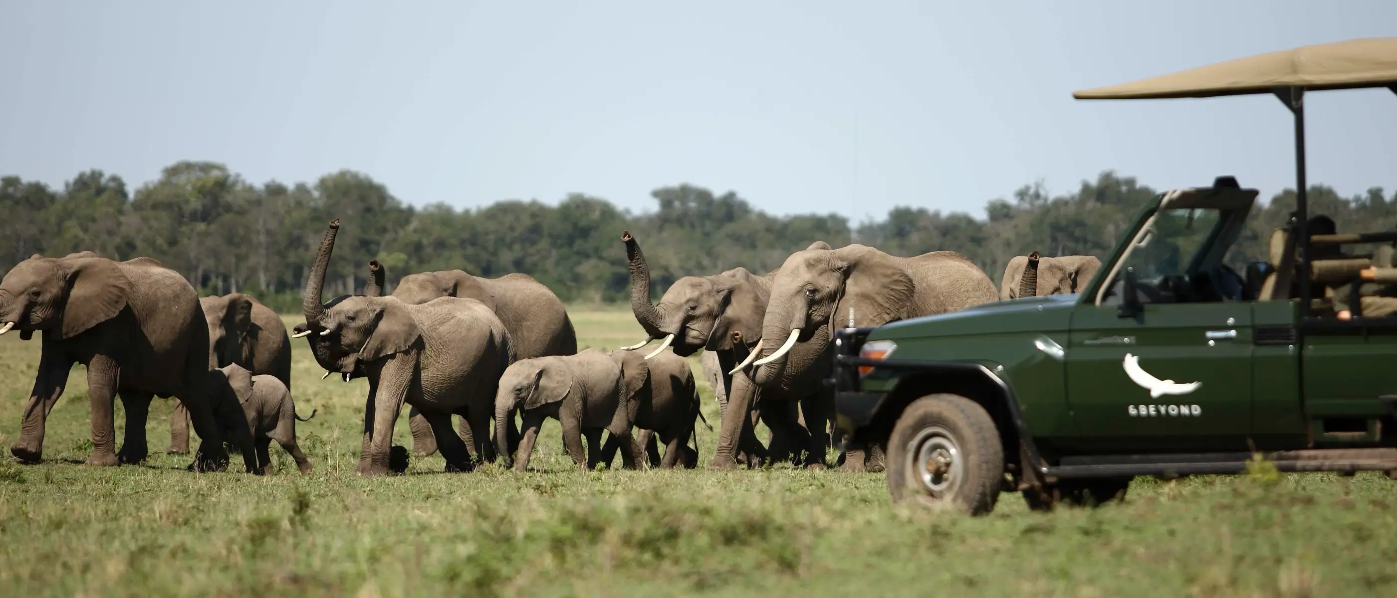 kenya-masai-elefantes-safari