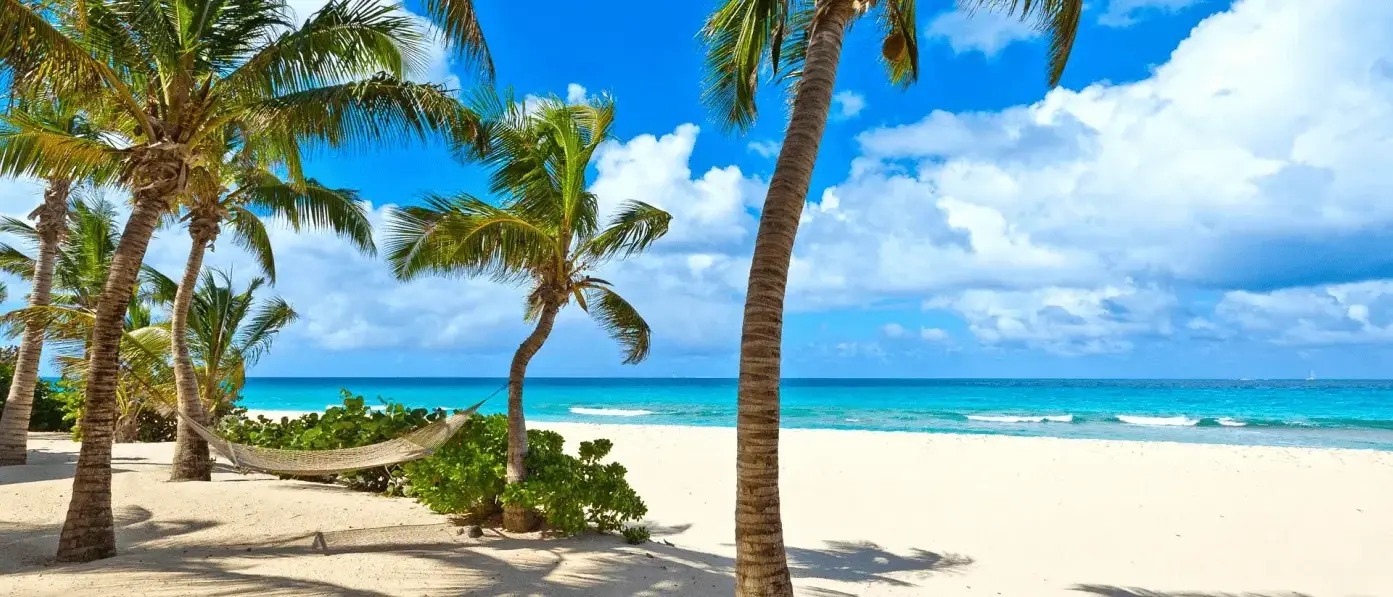 Praia com coqueiros em Anguilla