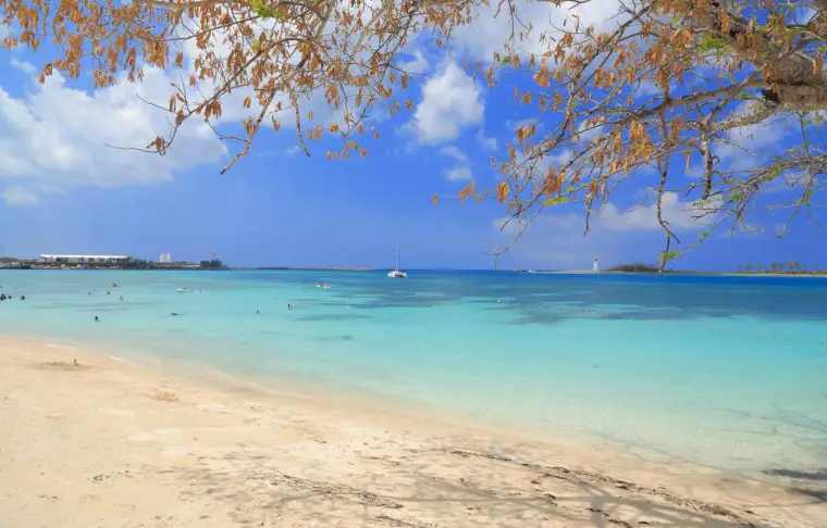 Pacote de viagem Cruzeiro e Compras: Miami & Bahamas
