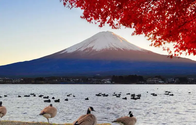 Pacote de viagem As Maravilhas do Japão