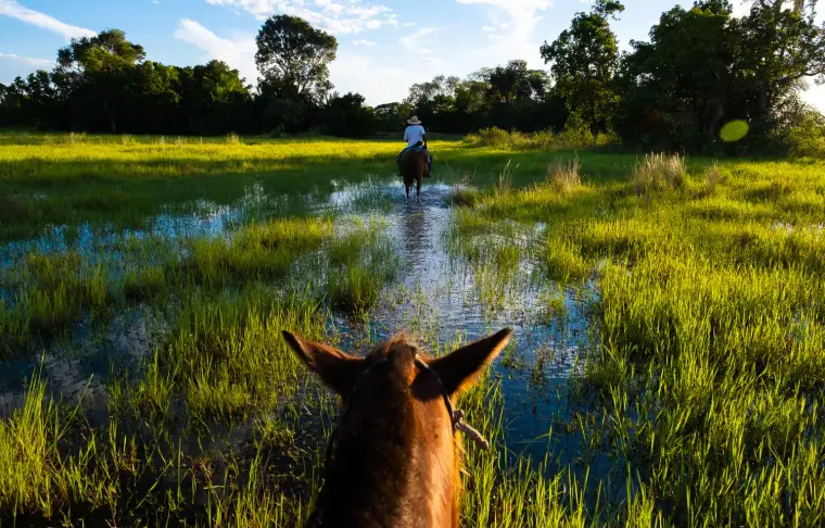 Pacote de viagem Bonito com Pantanal