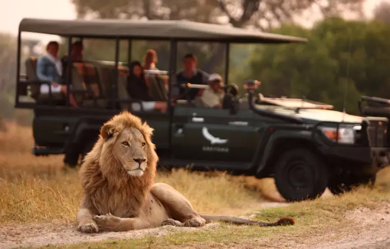 Pacote de viagem Botswana um Safári com Estilo