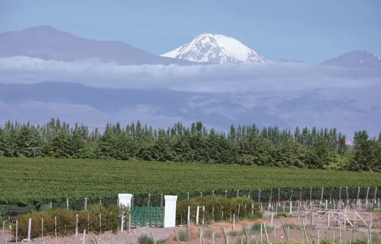 Pacote de viagem Buenos Aires e Mendoza